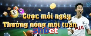 shbet